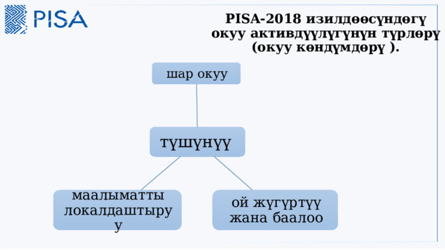 PISA-2018 изилдөөсүндөгү окуу активдүүлүгүнүн түрлөрү (окуу көндүмдөрү ).   шар окуу түшүнүү ой жүгүртүү жана баалоо маалыматты локалдаштыруу 