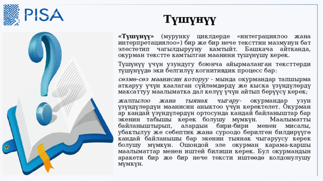 Түшүнүү «Түшүнүү» (мурунку циклдерде «интеграциялоо жана интерпретациялоо») бир же бир нече тексттин мазмунун бат элестетип чагылдырууну камтыйт. Башкача айтканда, окурман текстте камтылган маанини түшүнүшү керек. Түшүнүү үчүн узундугу боюнча айырмаланган тексттерди түшүнүүдө эки белгилүү когнитивдик процесс бар: сөзмө-сөз маанисин которуу - мында окурмандар тапшырма аткаруу үчүн каалаган сүйлөмдөрдү же кыска үзүндүлөрдү максаттуу маалыматка дал келүү үчүн айтып берүүсү керек; жалпылоо жана тыянак чыгару- окурмандар узун үзүндүлөрдүн маанисин аныктоо үчүн керектелет. Окурман ар кандай үзүндүлөрдүн ортосунда кандай байланыштар бар экенин табышы керек болушу мүмкүн. Маалыматты байланыштырып, алардын бири-бири менен мисалы, убактылуу же себептик жана суроодо берилген билдирүүгө кандай байланышы бар экенин тыянак чыгаруусу керек болушу мүмкүн. Ошондой эле окурман карама-каршы маалыматтар менен иштей билиши керек. Бул окурмандын аракети бир же бир нече тексти иштөөдө колдонулушу мүмкүн. 