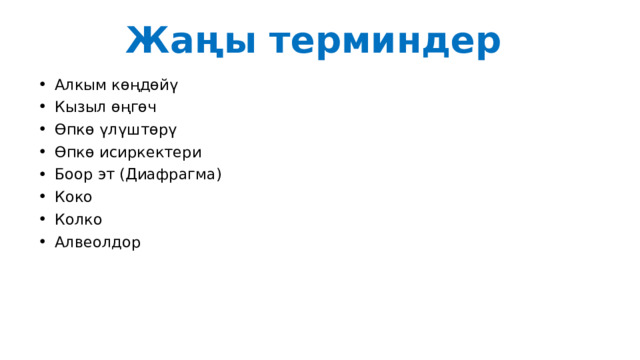 Жаңы терминдер Алкым көңдөйү Кызыл өңгөч Өпкө үлүштөрү Өпкө исиркектери Боор эт (Диафрагма) Коко Колко Алвеолдор 