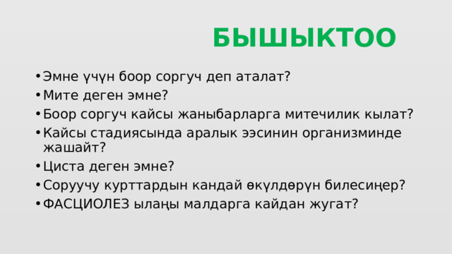  БЫШЫКТОО Эмне үчүн боор соргуч деп аталат? Мите деген эмне? Боор соргуч кайсы жаныбарларга митечилик кылат? Кайсы стадиясында аралык ээсинин организминде жашайт? Циста деген эмне? Соруучу курттардын кандай өкүлдөрүн билесиңер? ФАСЦИОЛЕЗ ылаңы малдарга кайдан жугат? 