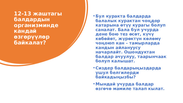 12-13 жаштагы балдардын организминде кандай өзгөрүүлөр байкалат? Бул куракта балдарда балалык курактан чоңдор катарына өтүү курагы болуп саналат. Бала бул учурда дене бою тез өсөт, күчү көбөйөт, жүрөктүн көлөмү чоңоюп кан – тамырларда кандын айлануусу начарлайт. Ошондуктан балдар ачуулуу, таарынчаак болуп калышат. Сиздер балдарыңыздарда ушул белгилерди байкадыңызбы? Мындай учурда балдар өзгөчө мамиле талап кылат. 