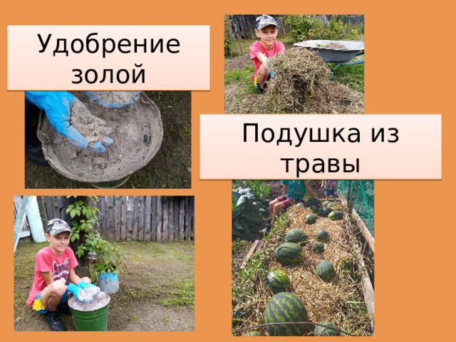 Удобрение золой Подушка из травы 