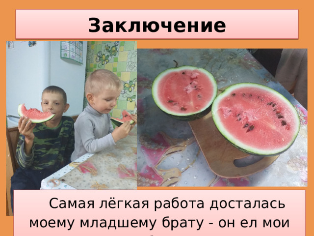Заключение Самая лёгкая работа досталась моему младшему брату - он ел мои арбузы. 