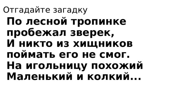 Отгадайте загадку По лесной тропинке пробежал зверек,  И никто из хищников поймать его не смог.  На игольницу похожий  Маленький и колкий... 
