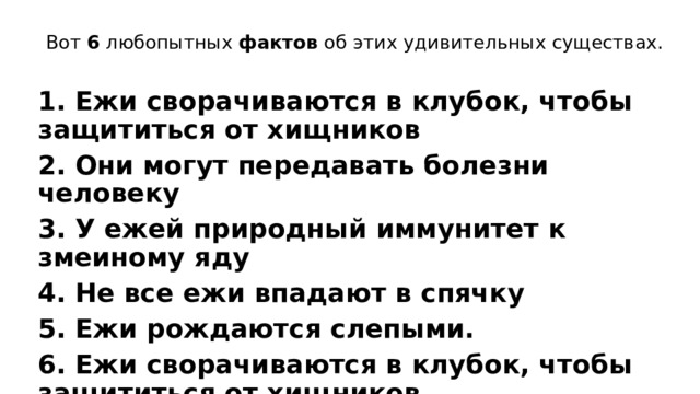 Вот  6  любопытных  фактов  об этих удивительных существах. 1. Ежи сворачиваются в клубок, чтобы защититься от хищников 2. Они могут передавать болезни человеку 3. У ежей природный иммунитет к змеиному яду 4. Не все ежи впадают в спячку 5. Ежи рождаются слепыми.  6. Ежи сворачиваются в клубок, чтобы защититься от хищников. 