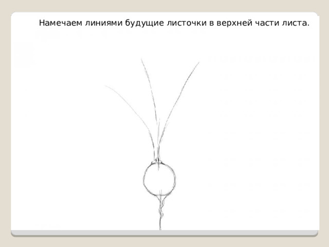 Намечаем линиями будущие листочки в верхней части листа. 