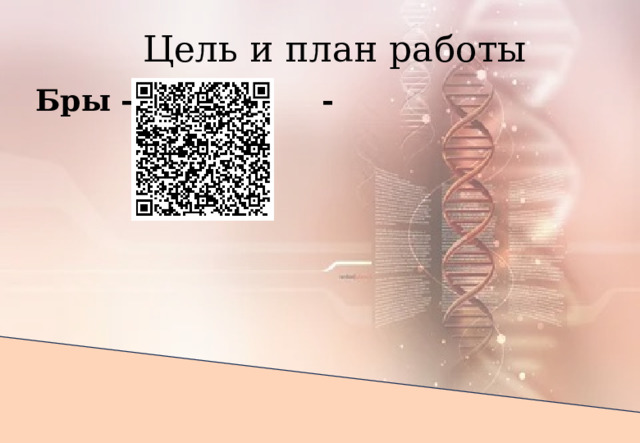 Цель и план работы Бры -       -        