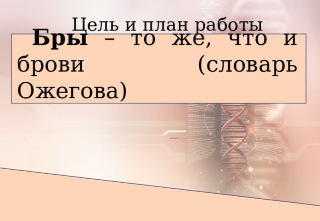 Цель и план работы Бры – то же, что и брови (словарь Ожегова)        