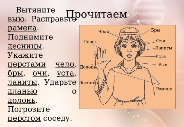 Вытяните выю . Расправьте рамена . Поднимите десницы . Укажите перстами  чело , бры , очи , уста , ланиты . Ударьте дланью о долонь . Погрозите перстом соседу. Прочитаем Бры Чело Очи Перст Ланиты Уста Выя Долонь Десница Рамена 