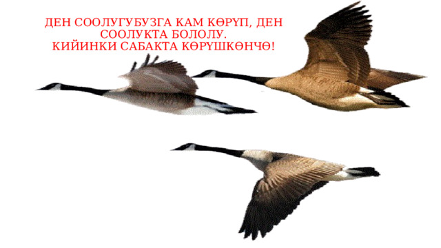 ДЕН СООЛУГУБУЗГА КАМ КӨРҮП, ДЕН СООЛУКТА БОЛОЛУ.  КИЙИНКИ САБАКТА КӨРҮШКӨНЧӨ! 