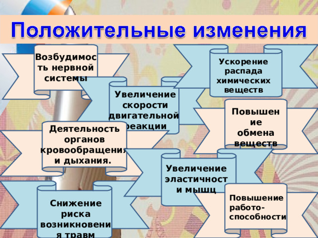 Возбудимость нервной системы Ускорение распада химических веществ Увеличение скорости двигательной реакции Повышение обмена веществ Деятельность органов кровообращения и дыхания.  Увеличение эластичности мышц Повышение работо-способности Снижение риска возникновения травм 
