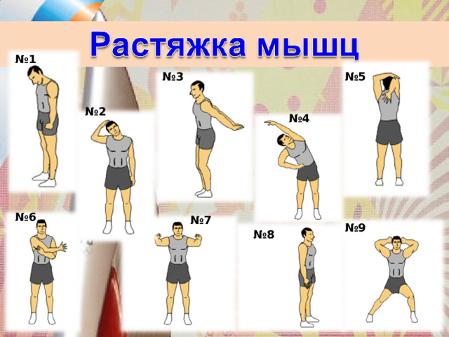№ 1 № 3 № 5 № 2 № 4 № 6 № 7 № 9 № 8 