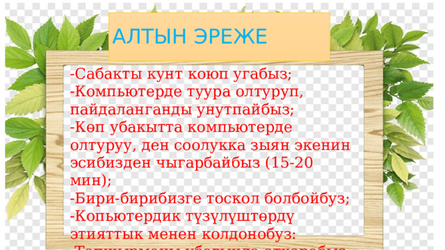 АЛТЫН ЭРЕЖЕ -Сабакты кунт коюп угабыз; -Компьютерде туура олтуруп, пайдаланганды унутпайбыз; -Көп убакытта компьютерде олтуруу, ден соолукка зыян экенин эсибизден чыгарбайбыз (15-20 мин); -Бири-бирибизге тоскол болбойбуз; -Копьютердик түзүлүштөрдү этияттык менен колдонобуз: -Тапшырманы убагында аткарабыз; 
