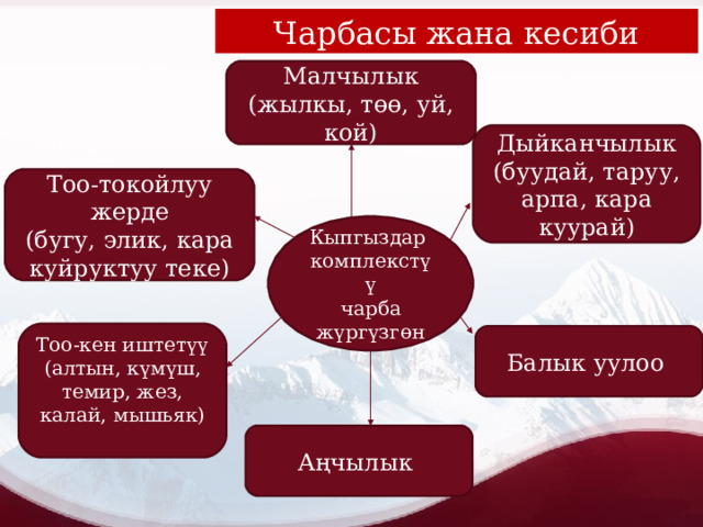 Чарбасы жана кесиби Малчылык (жылкы, төө, уй, кой) Дыйканчылык (буудай, таруу, арпа, кара куурай) Тоо-токойлуу жерде (бугу, элик, кара куйруктуу теке) Кыпгыздар комплекстүү чарба жүргүзгөн Тоо-кен иштетүү (алтын, күмүш, темир, жез, калай, мышьяк) Балык уулоо Аңчылык 