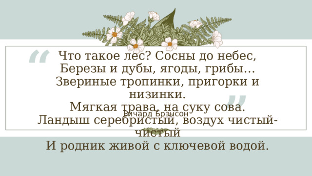 “ Что такое лес? Сосны до небес,  Березы и дубы, ягоды, грибы…  Звериные тропинки, пригорки и низинки.  Мягкая трава, на суку сова.  Ландыш серебристый, воздух чистый-чистый  И родник живой с ключевой водой.   ” Ричард Брэнсон 1 