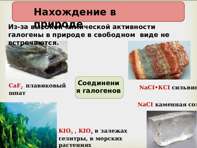 Нахождение в природе Из-за высокой химической активности галогены в природе в свободном виде не встречаются . Соединения галогенов CaF 2 плавиковый шпат NaCI•KCI  сильвинит NaCI  каменная соль KIO 3 , KIO 4  в залежах селитры, в морских растениях 