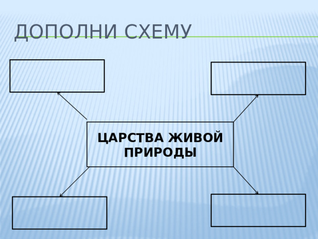 Дополни схему ЦАРСТВА ЖИВОЙ ПРИРОДЫ 