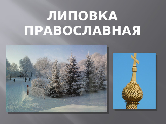 Липовка православная 