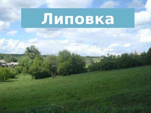 Липовка 