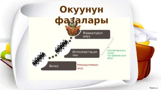 Окуунун фазалары 