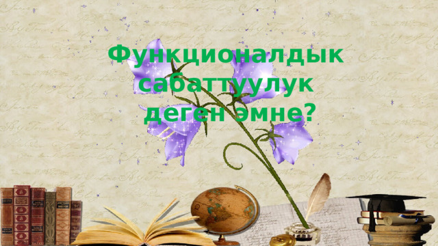 Функционалдык сабаттуулук деген эмне? 