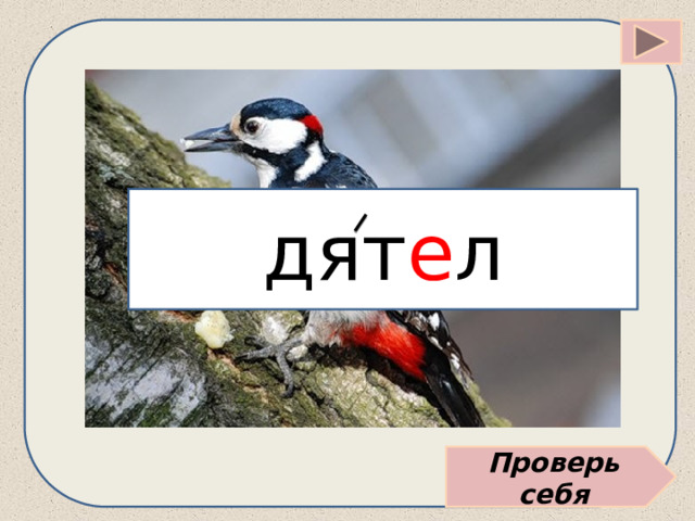 дят е л Проверь себя 