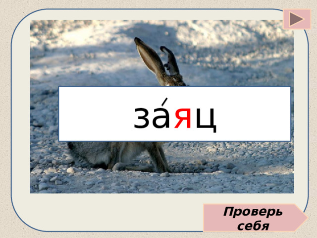 за я ц Проверь себя 