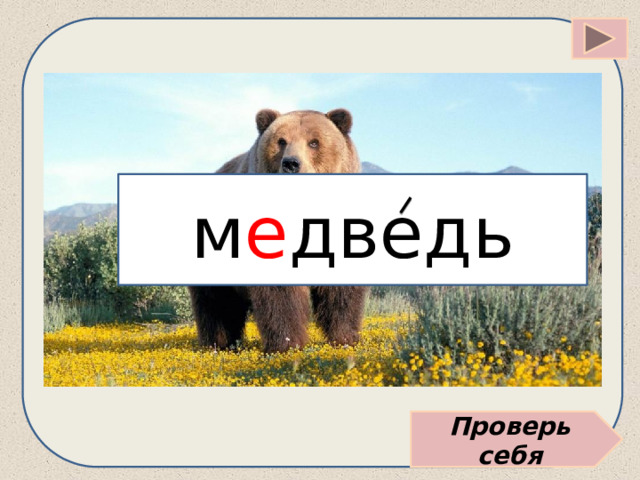 м е дведь Проверь себя 