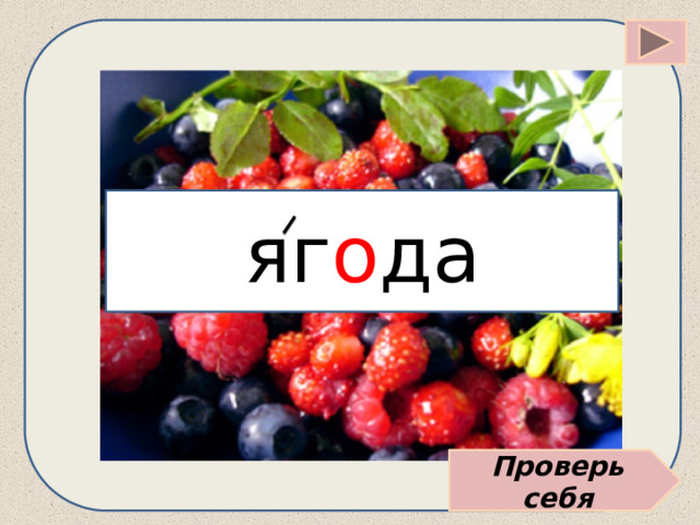 яг о да Проверь себя 