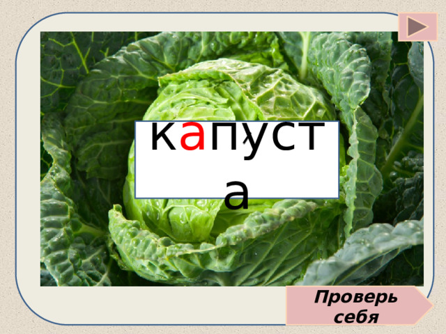 к а пуста Проверь себя 