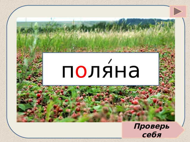 п о ляна Проверь себя 
