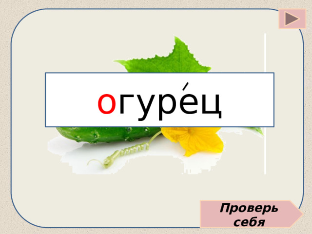о гурец Проверь себя 