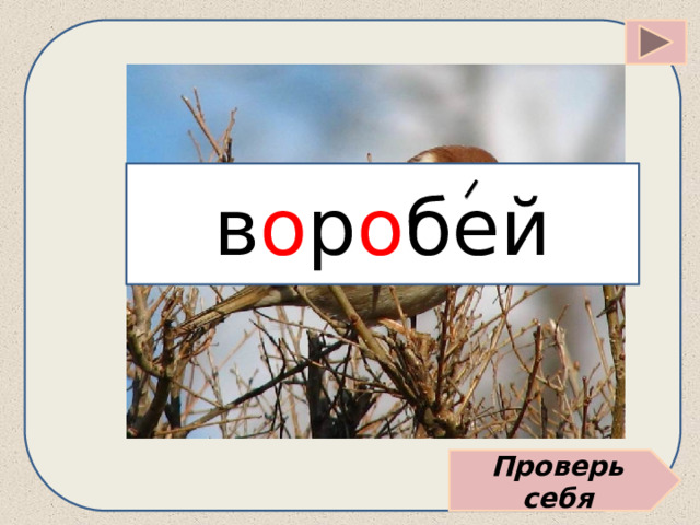 в о р о бей Проверь себя 