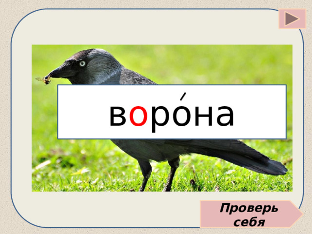 в о рона Проверь себя 