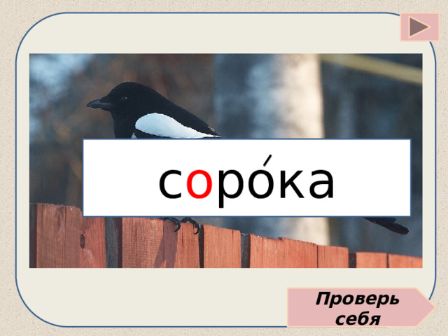 с о рока Проверь себя 