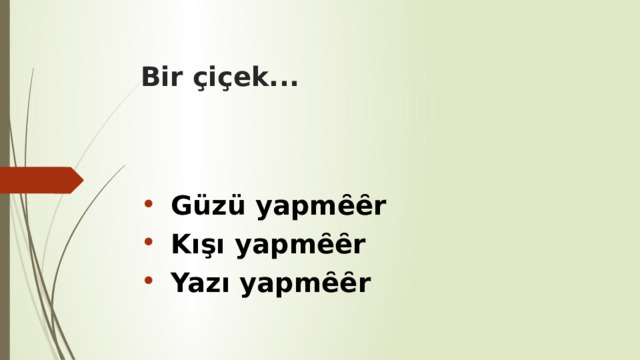 Bir çiçek... Güzü yapmȇȇr Kışı yapmȇȇr Yazı yapmȇȇr 