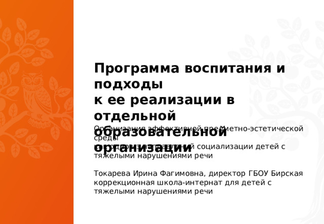 Программа воспитания и подходы к ее реализации в отдельной образовательной организации Организация эффективной предметно-эстетической среды  как одно из направлений социализации детей с тяжелыми нарушениями речи Токарева Ирина Фагимовна, директор ГБОУ Бирская коррекционная школа-интернат для детей с тяжелыми нарушениями речи 