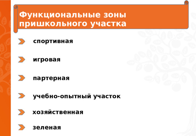 Функциональные зоны пришкольного участка   спортивная игровая партерная учебно-опытный участок хозяйственная зеленая 