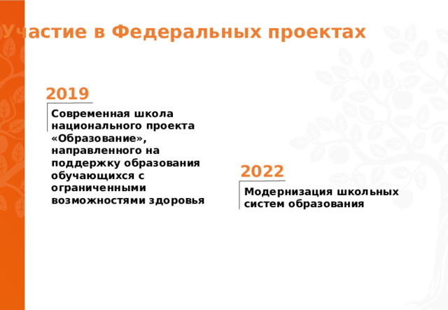 Участие в Федеральных проектах  2019 Современная школа национального проекта «Образование», направленного на поддержку образования обучающихся с ограниченными возможностями здоровья 2022 Модернизация школьных систем образования 