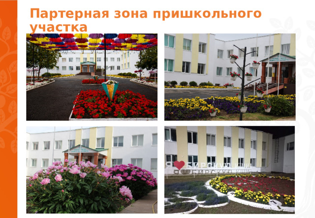 Партерная зона пришкольного участка 