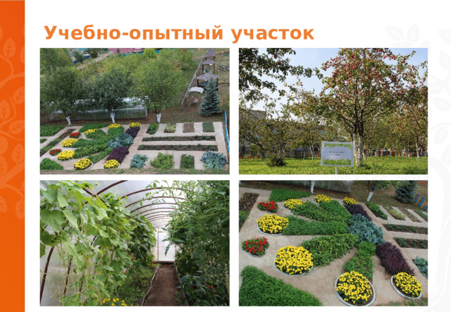 Учебно-опытный участок 