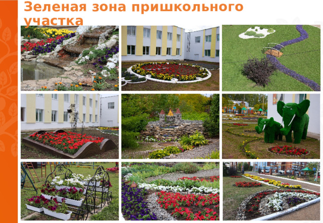 Зеленая зона пришкольного участка 