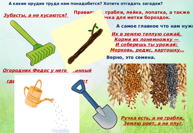 А какие орудия труда нам понадобятся? Хотите отгадать загадки? Правильно, грабли, лейка, лопатка, а также палочка для метки бороздок. Зубасты, а не кусаются?  А самое главное что нам нужно? Их в землю теплую сажай, Корми их понемножку — И соберешь ты урожай: Морковь, редис, картошку… Верно, это семена. Огородник Федос у него длинный нос, где не поклонится - вода течет Ручка есть, а не грабли, Землю роет, а не плуг. 