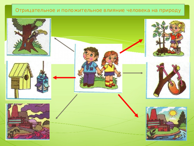 Отрицательное и положительное влияние человека на природу 