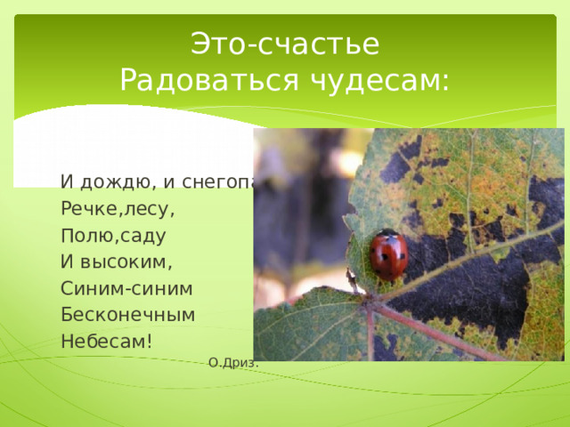 Это-счастье  Радоваться чудесам: И дождю, и снегопаду, Речке,лесу, Полю,саду И высоким, Синим-синим Бесконечным Небесам!    О.Дриз. 