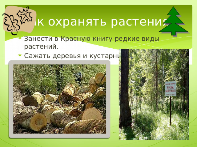 Как охранять растения? Занести в Красную книгу редкие виды растений. Сажать деревья и кустарники. Беречь лес от пожаров. 