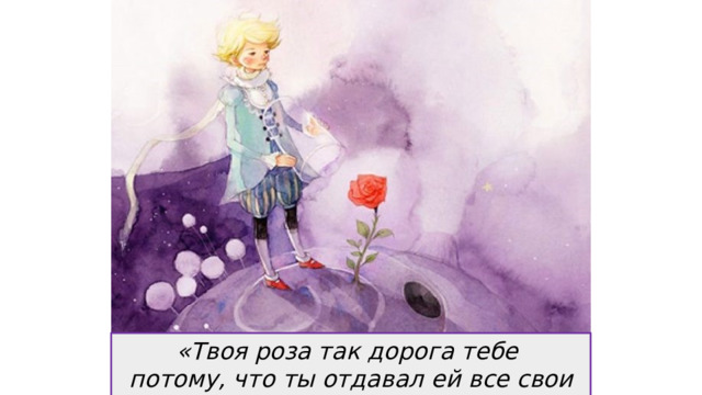 «Твоя роза так дорога тебе потому, что ты отдавал ей все свои дни». 