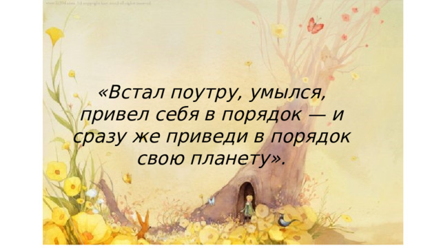 «Встал поутру, умылся, привел себя в порядок — и сразу же приведи в порядок свою планету». 