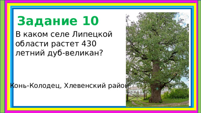 Задание 10 В каком селе Липецкой области растет 430 летний дуб-великан ? Конь-Колодец, Хлевенский район 