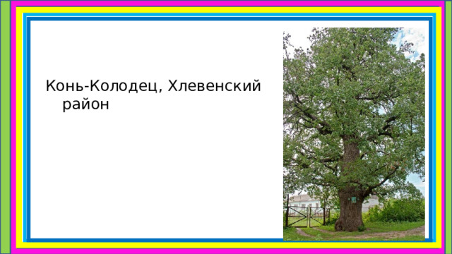 Конь-Колодец, Хлевенский район 
